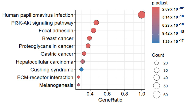 Gene expression plot