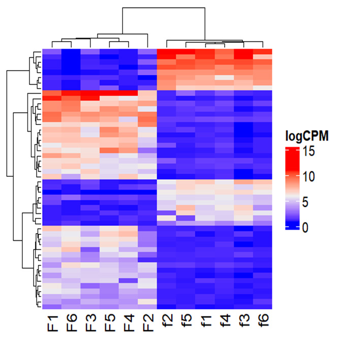 Heatmap of expression