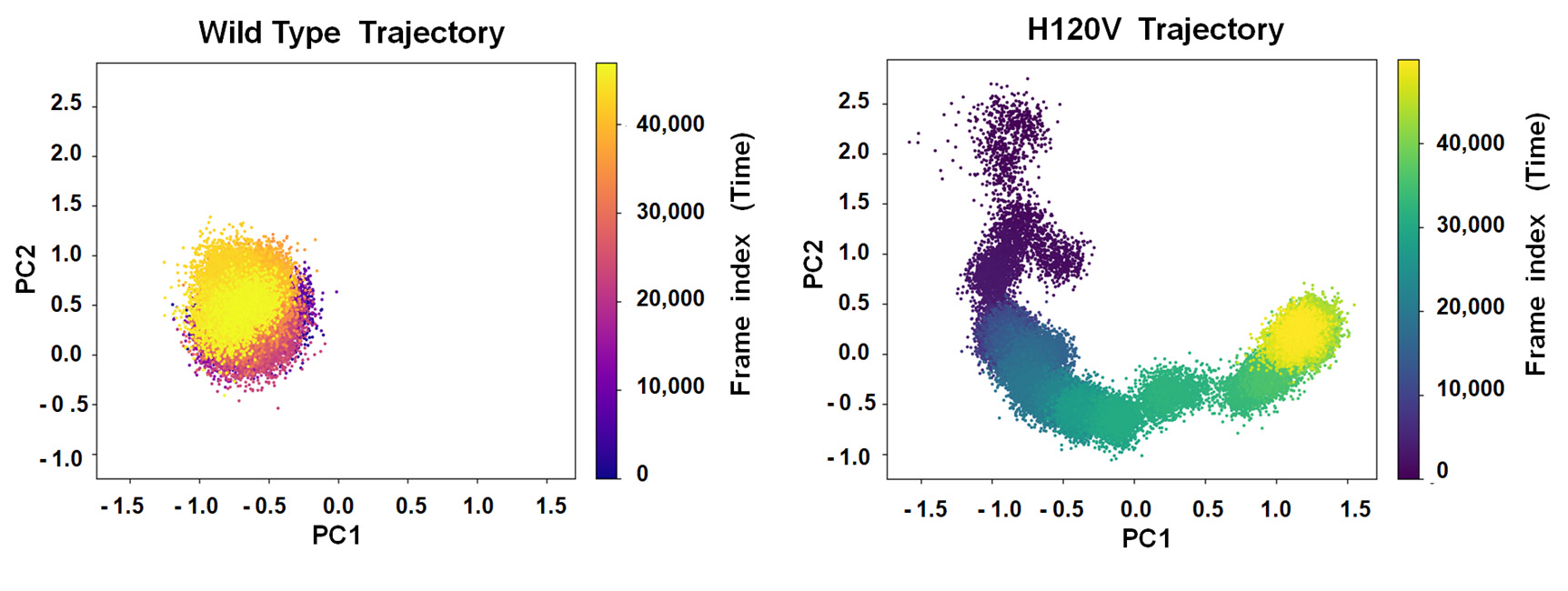 PCA plot